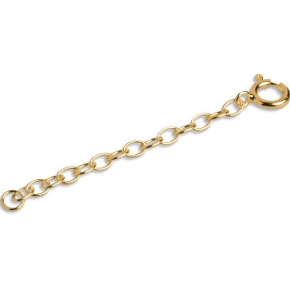 Enamel, Extender chain anchor