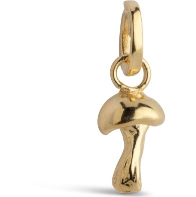Enamel, Charm adventurous mushroom