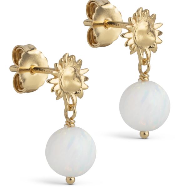 Enamel, daystar globe earrings