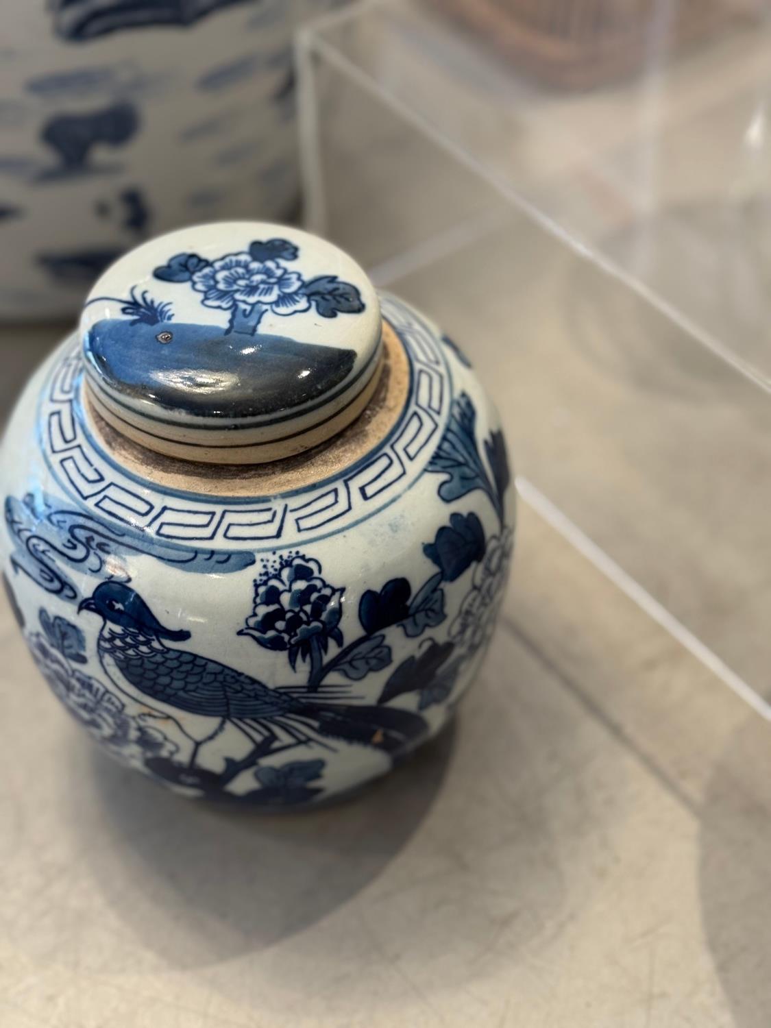 gallery-22718-for-113917