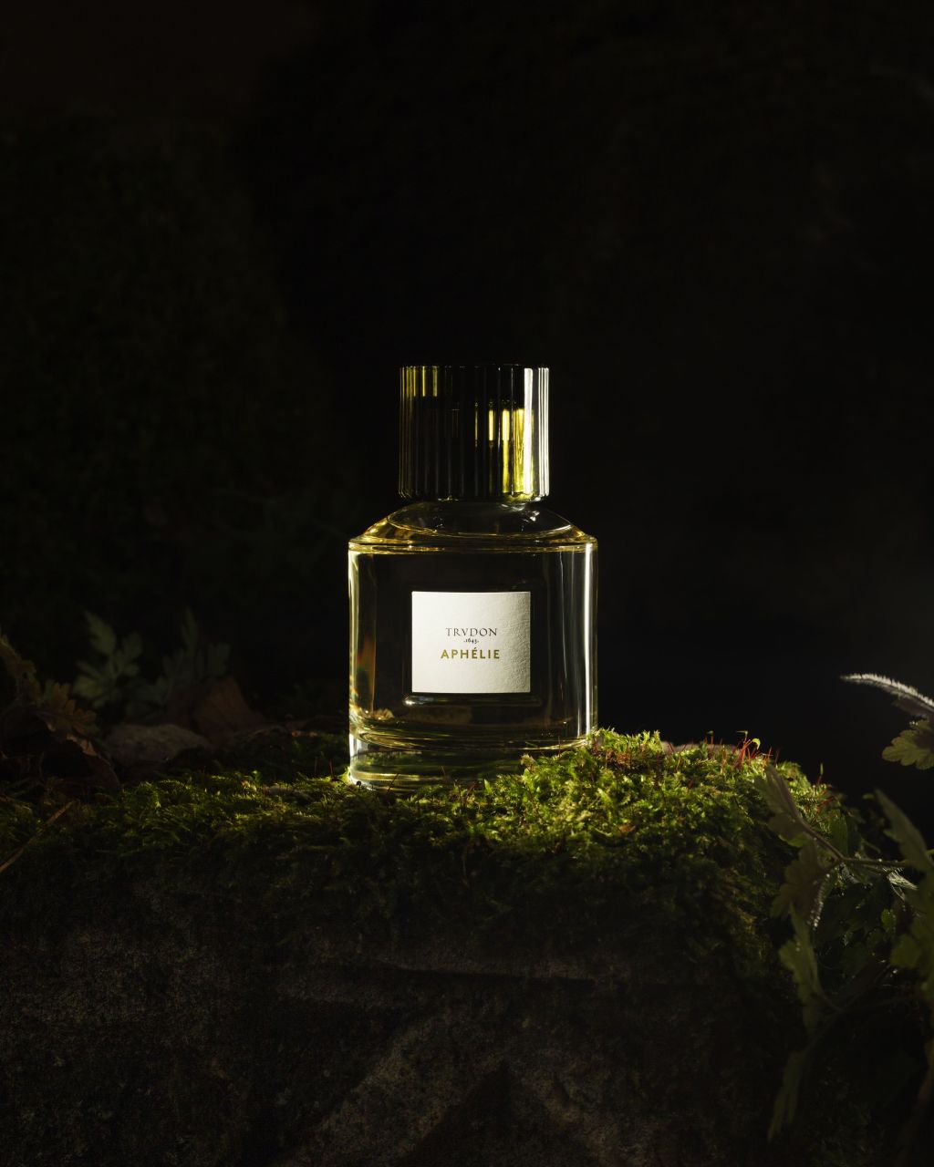 gallery-22845-for-114016