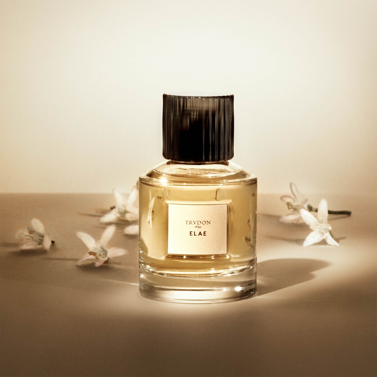 gallery-22864-for-114024