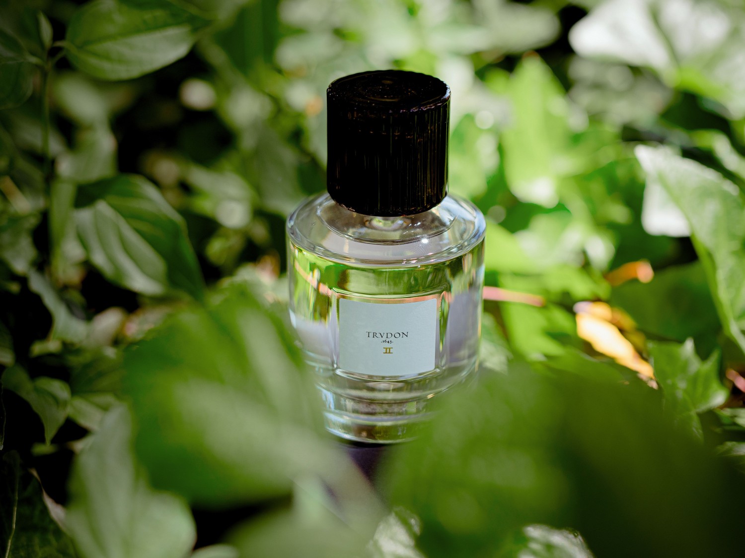 gallery-22869-for-114026