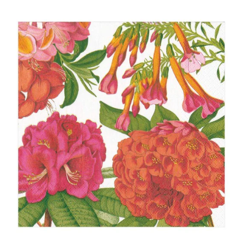 Caspari, Napkin Jefferson's Garden Study Paper