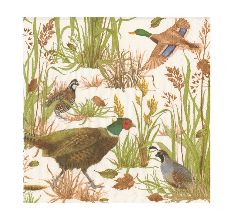 Caspari, Napkin birds of feather