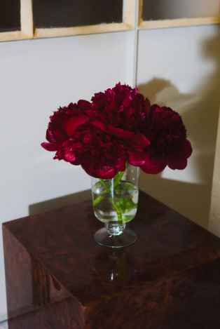 gallery-22969-for-114104