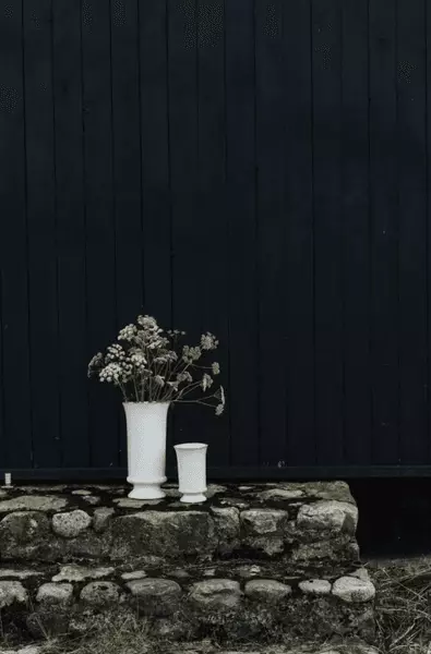 gallery-23018-for-114120