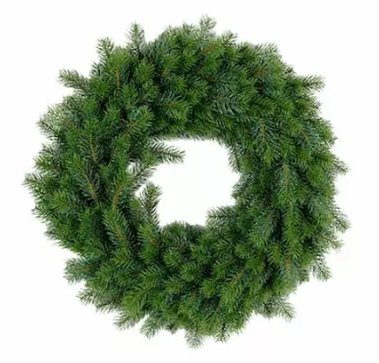 Mr Plant, Grankrans 60cm