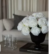 gallery-24146-for-114550