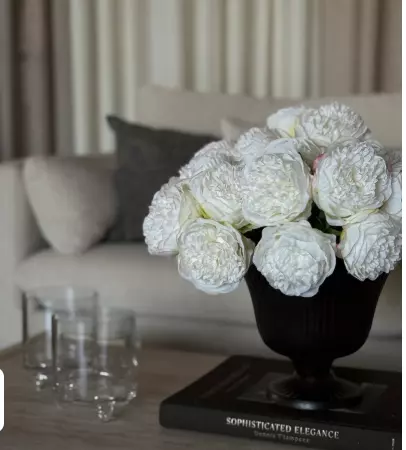 gallery-24146-for-114550