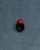 Casa Ayllòn, Fenice Ring