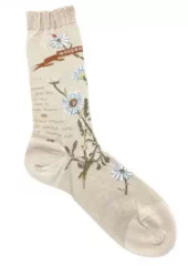 Antipast, margaret beige socks