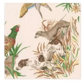 Caspari Napkin, Sologne