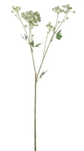 Mr Plant, Angelica Green