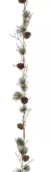Mr Plant, Lärkgirlang med kottar Green