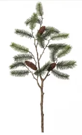 Mr Plant, Grankvist Green