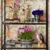 gallery-21877-for-113303