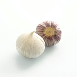 Hvitløk flette 500 gr