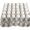 Egg 2 brett pk