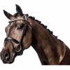 HorseGuard Ergo Hodelag m/Krystaller