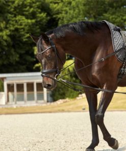 HorseGuard Trepunktstøyle