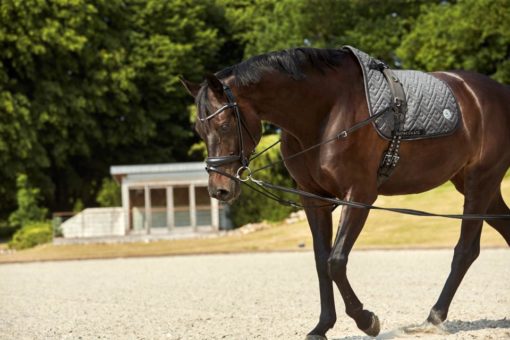 HorseGuard Trepunktstøyle