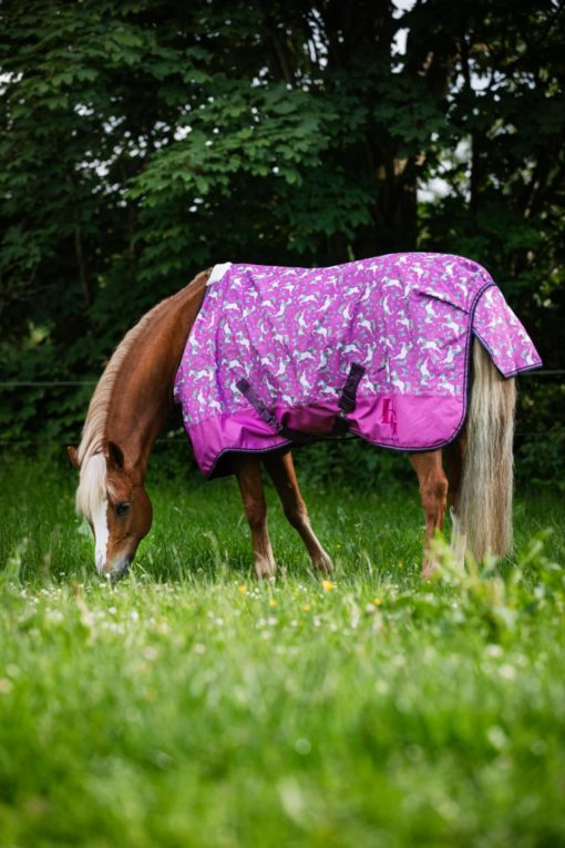 HorseGuard Josh Pony & Hest Regndekken Phlox Pink