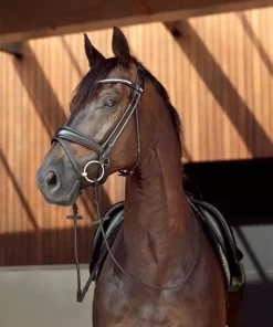HorseGuard Ava Rundsydd Hodelag