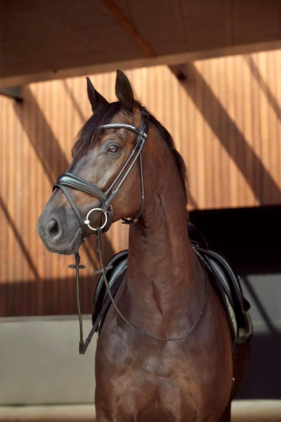 HorseGuard Ava Rundsydd Hodelag