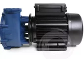 Pumpe Gecko Maelstrom MS-1 2SPD 2,5HP