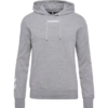 Hummel Elemental Hoodie