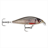 Rapala X-Light Minnow 05 Live Roach