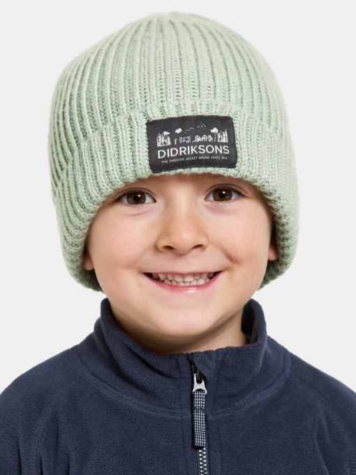 Didriksons Bus Kids Beanie Green