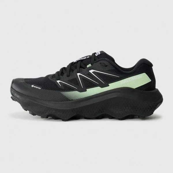 Salomon Ultra Flow 2 GTX