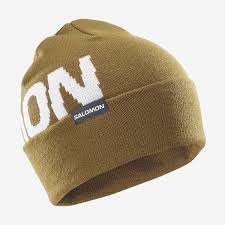 Salomon Hermitage beanie olive