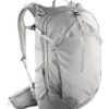 Salomon Trailblazer 30 L cloudburst