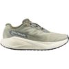 Salomon Aero Blaze 3 grvl M tea