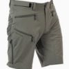 Move on Odda shorts herre beetle