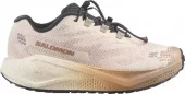 Salomon Aero blaze 4 GRVL W
