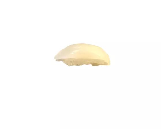 Kveite Nigiri - bit