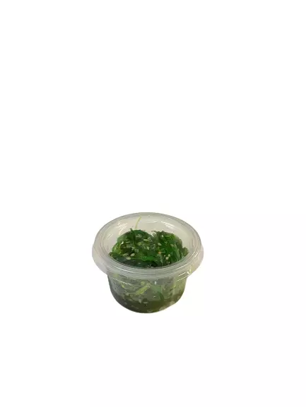 Sjøgress / Tangsalat
