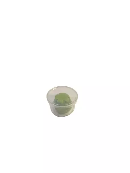 Wasabi