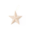 Others Star Ornament