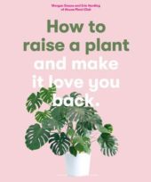 HOW TO RAISE A PLANT AND MAKE IT LOVE YOU BACK