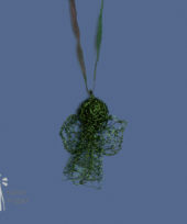 Juweel Leaf green wire pendant