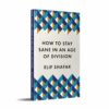 HOW TO STAY SANE IN AN AGE OF DIVISION: FROM THE BOOKER SHORTLISTED AUTHOR OF 10 MINUTES 38 SECONDS