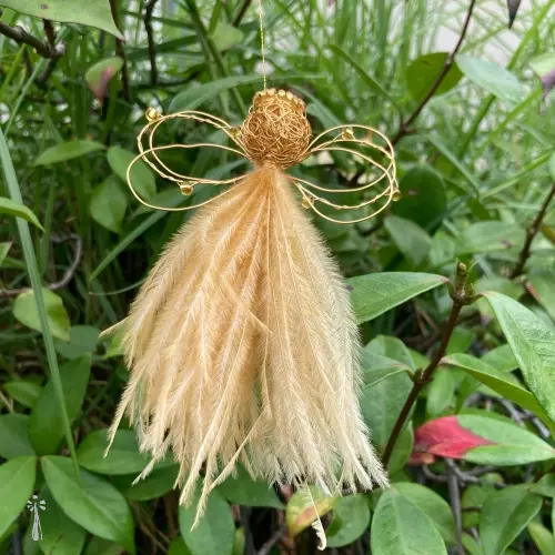 Karoo Angel Natania Small