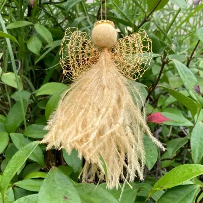 Karoo Angel Natania Medium