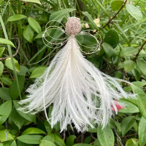 Karoo Angel Ronelle Small