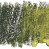 Derwent Inktense fargeblyant 1600 Leaf Green